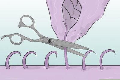 How to Shave Your Pubic Hair