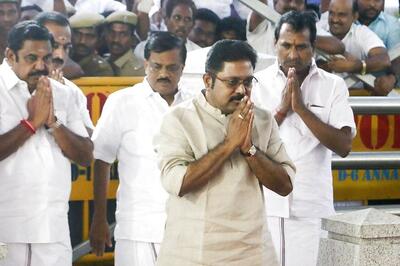 Dinakaran Meets Tamil Nadu Governor, Seeks Removal of CM K Palaniswami