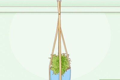 How to Hang Plants from a Wall