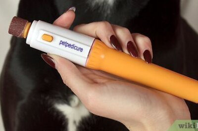 How to Cut a Dog's Nails Without Clippers