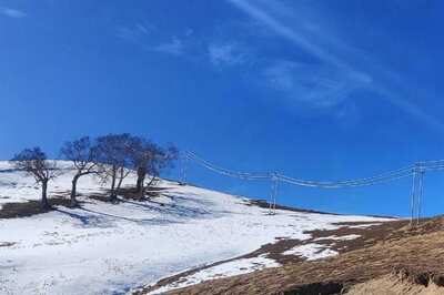 Himachal: MeT Issues Orange Warning of Heavy Snowfall, 4 NH Among 485 Roads Blocked
