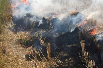 Clear The Haze: All You Need To Know About Stubble Burning