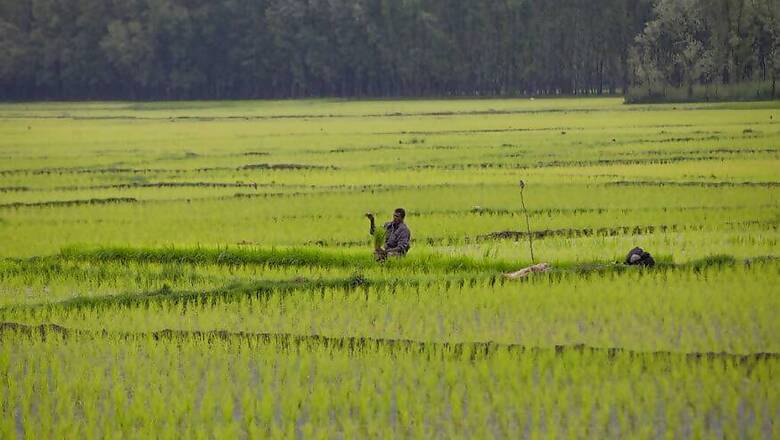 Siddaramaiah Flays BJP Govt for Amending Land Act to Allow Non-ryots to Buy Agricultural Land
