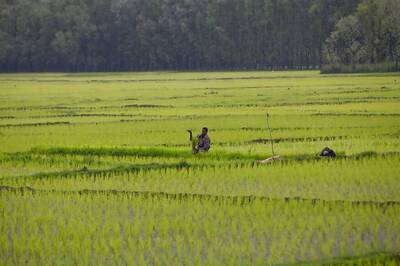 Siddaramaiah Flays BJP Govt for Amending Land Act to Allow Non-ryots to Buy Agricultural Land