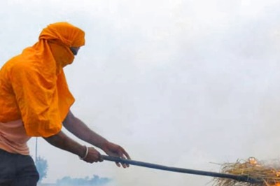 NHRC Asks Delhi Govt to Fix Timeline to Rectify Cause of Poor Air Quality at Hotspots