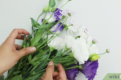 How to Dry Flowers