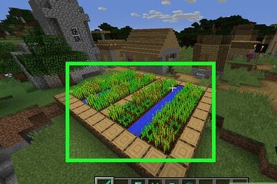 How to Get Carrots in Minecraft