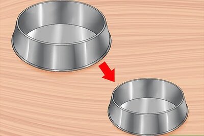 How to Ensure That Your Cat Finishes Its Food