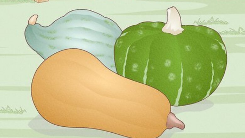 How to Grow Winter Squash