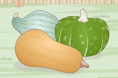 How to Grow Winter Squash