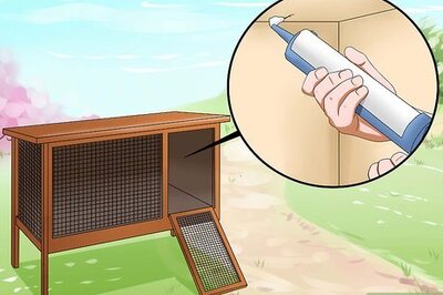 How to Keep Rabbits Warm in Sub Zero Weather