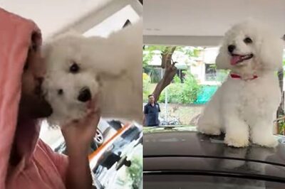 Kartik Aaryan's 'Spoilt Kid' Katori Won't Let Him Leave for Work, Watch Adorable Video