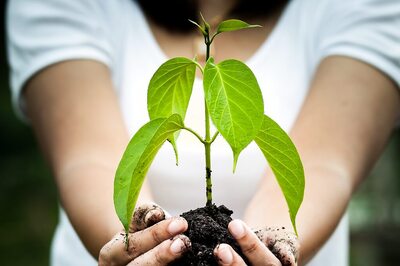 Brands Revolutionize Packaging with Recyclable, Reusable, and Compostable Solutions