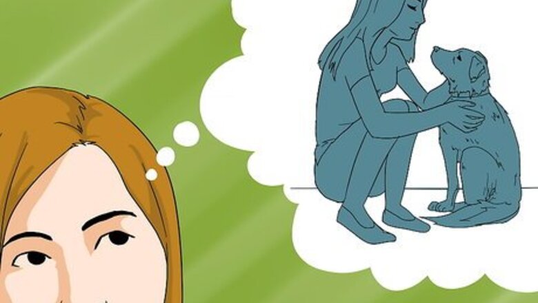 How to Plan a Surprise Party for a Dog Lover