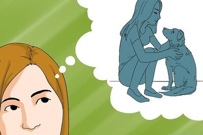 How to Plan a Surprise Party for a Dog Lover