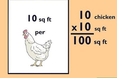 How to Construct a Chicken Run
