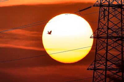 Cabinet Likely to Okay Package for Power Discoms Reeling under Revenue Loss in Lockdown