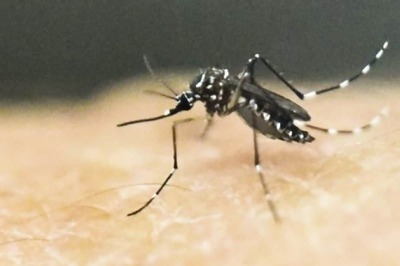 6-member Team Sent to Kerala to Monitor Zika Virus Situation After 14 Cases Reported