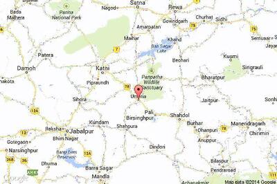 Four-year-old tigress found dead, poachers suspected