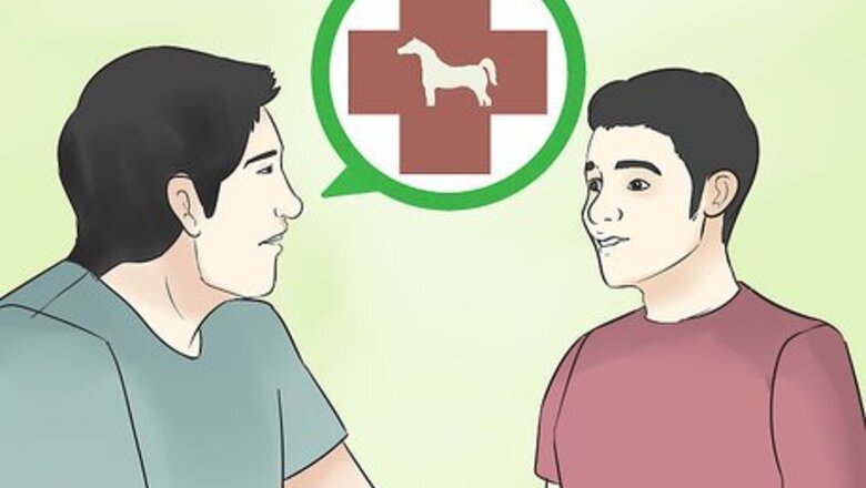 How to Choose a Vet for Your Horse