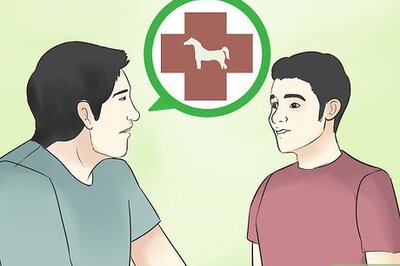 How to Choose a Vet for Your Horse