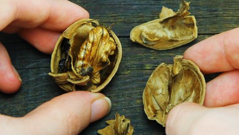 How to Cook with Nuts