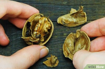 How to Cook with Nuts