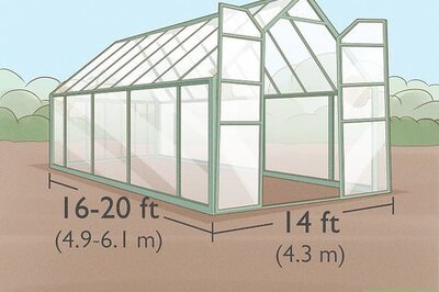 How to Grow Orchids in a Greenhouse