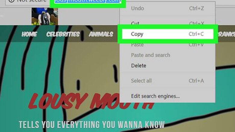 How to Spell Check a Website