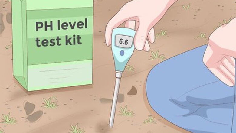 How to Grow Plants Faster