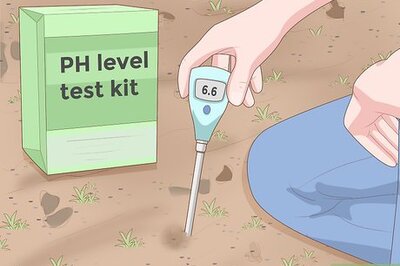 How to Grow Plants Faster