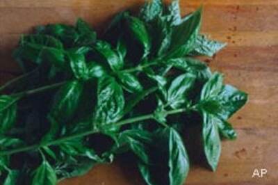 Herbs can help check bad breath