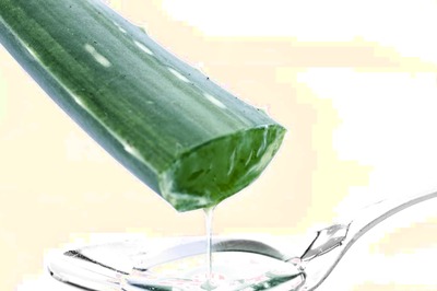 6 Reasons Why You Need Aloe Vera In Your Life