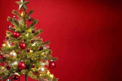 You'll Be Surprised To Know What This US Family Found In Their Christmas Tree