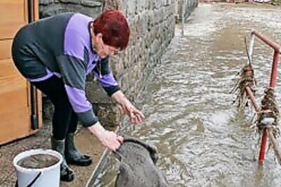 Force wife to mop, land in jail