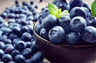 Discover the 6 Best Foods to Balance Hormones in Women