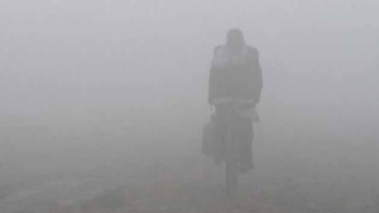 Delhi experiences chilly morning, cloudy day ahead