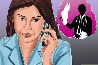 How to Treat Bumblefoot in Cockatoos