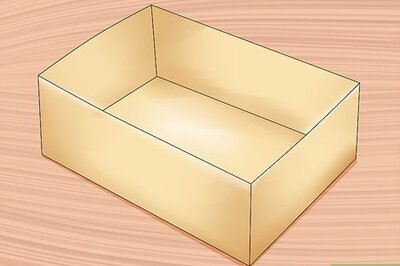 How to Prepare for Baby Bunnies