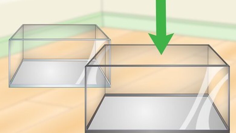 How to Build a Freshwater Predator Fish Aquarium