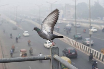 At 3.9 Degree Celsius, Delhi Records Season's Lowest Minimum Temperature