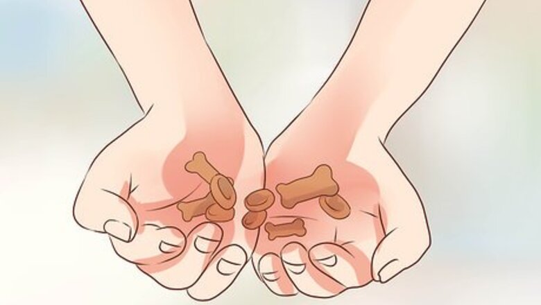 How to Train Puggles
