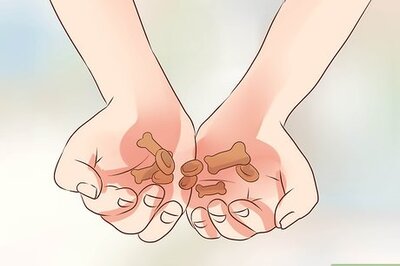 How to Train Puggles