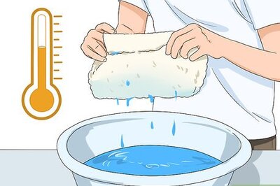 How to Clean a Smelly Mouse