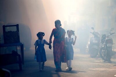 Vector Control Teams Scout Bhopal's Posh Area as Municipal Body Cracks Down on Dengue