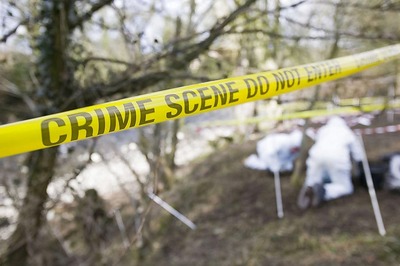 Two Forest Guards Ambushed, Shot at by Mining Mafia in MP’s Gwalior