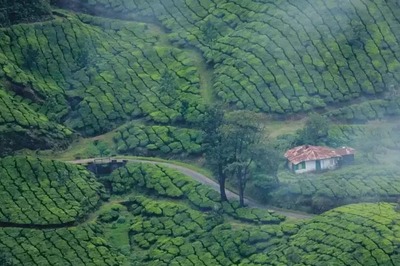 What If We Tell You That It All Takes Rs 300 To Explore The Beauty Of Munnar