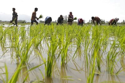 Smart Agriculture: More power to small farmers