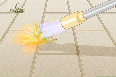 How to Burn Weeds in Rocks