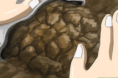 How to Create a Weed‐Free Lawn Without Using Harmful Chemicals